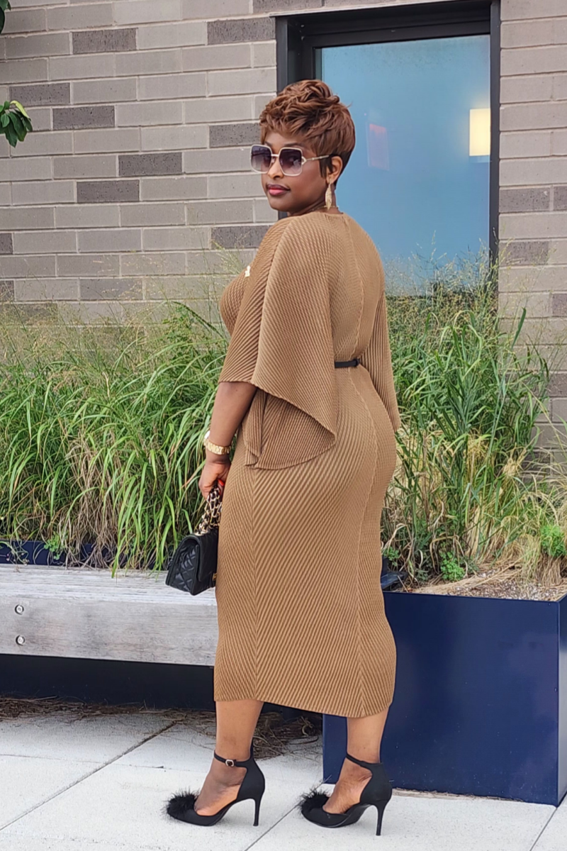 ADMIRABLE DRESS/BROWN