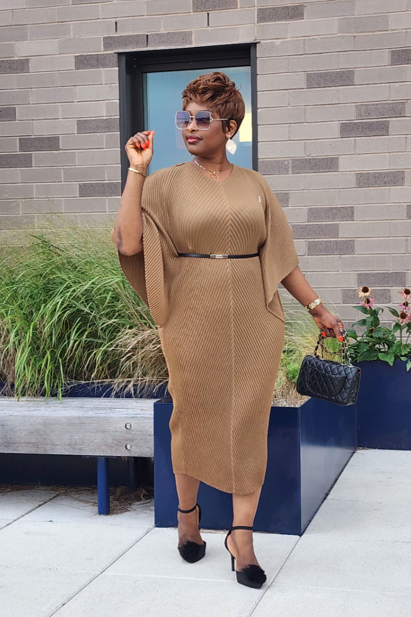 ADMIRABLE DRESS/BROWN