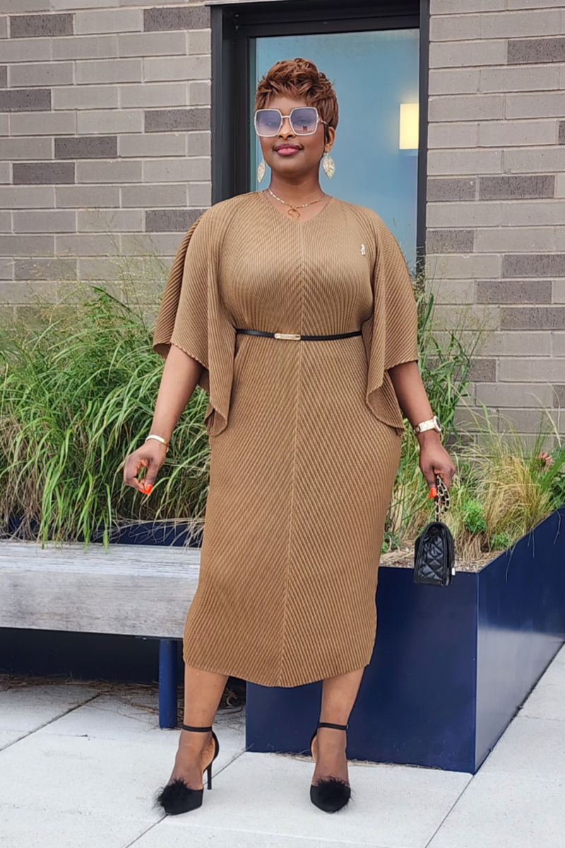 ADMIRABLE DRESS/BROWN