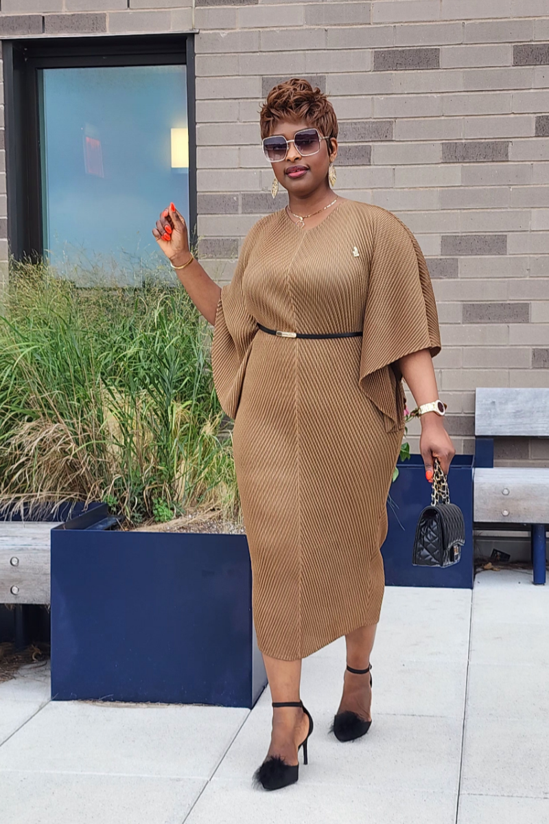 ADMIRABLE DRESS/BROWN