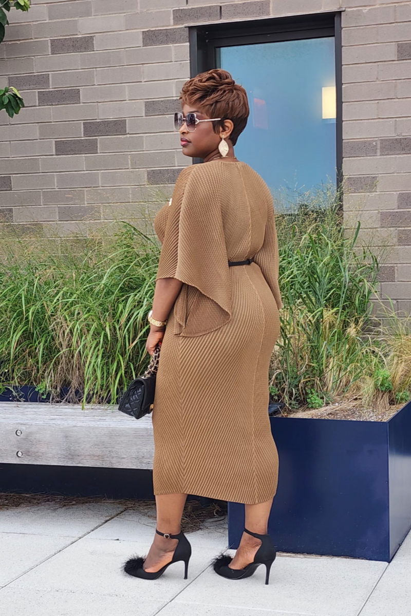 ADMIRABLE DRESS/BROWN