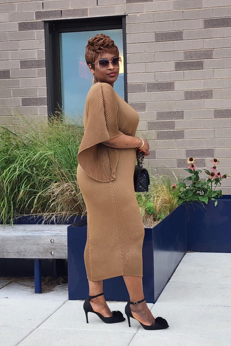 ADMIRABLE DRESS/BROWN