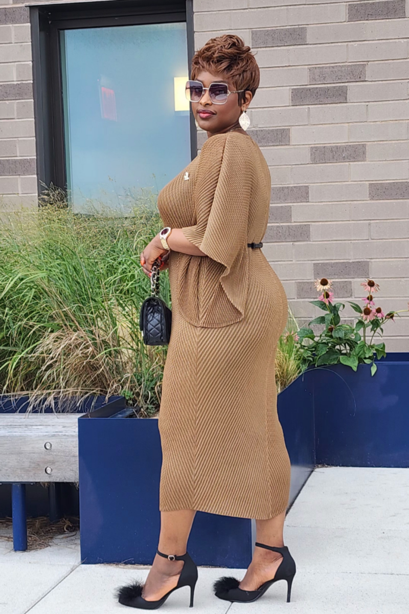 ADMIRABLE DRESS/BROWN