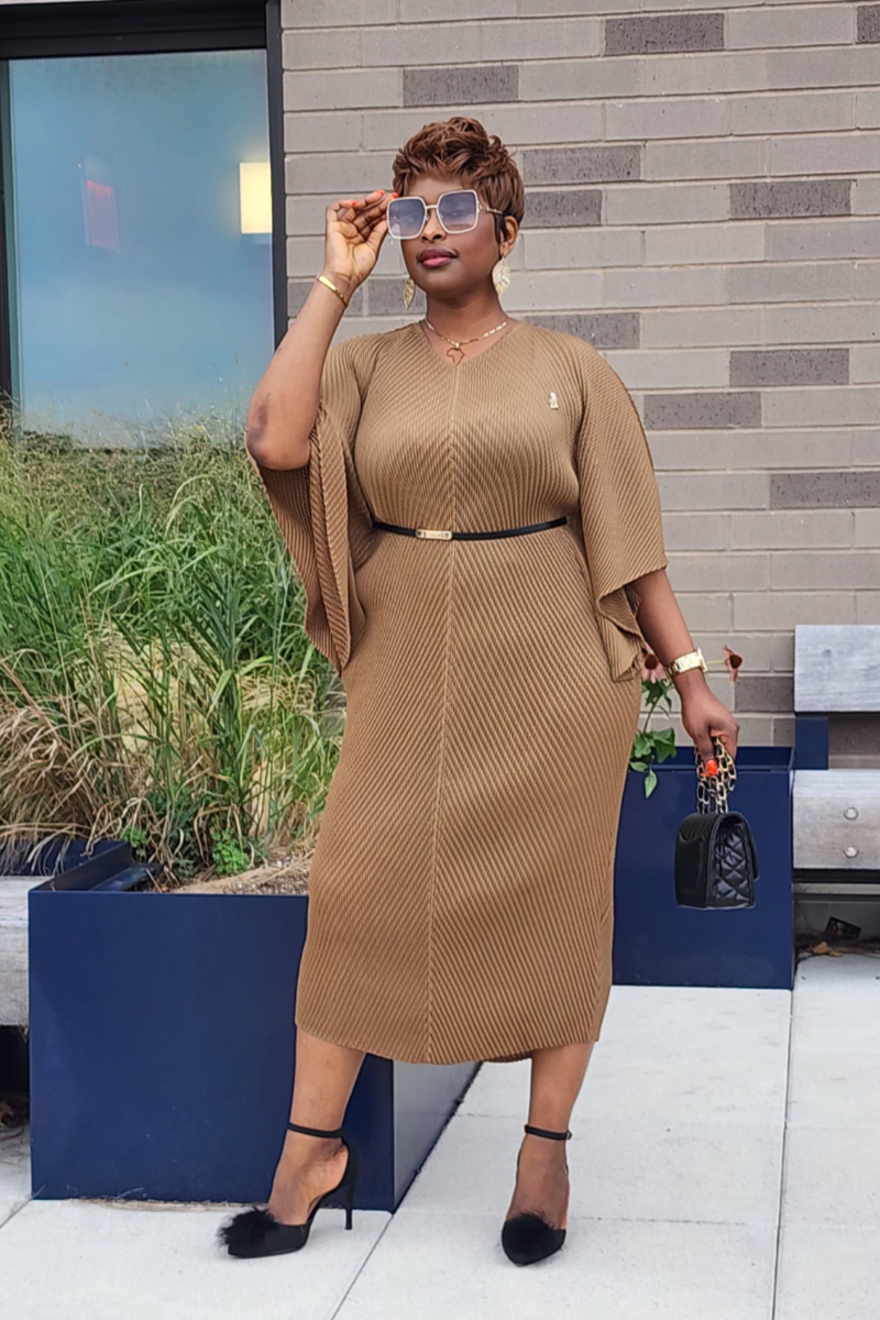 ADMIRABLE DRESS/BROWN