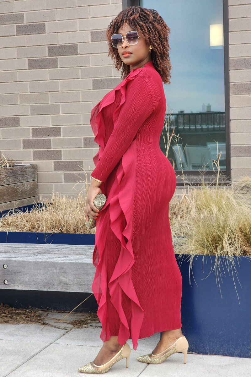 ELEGANCE PARTY DRESS /RED WINE